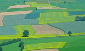 terenuri-agricole_straini