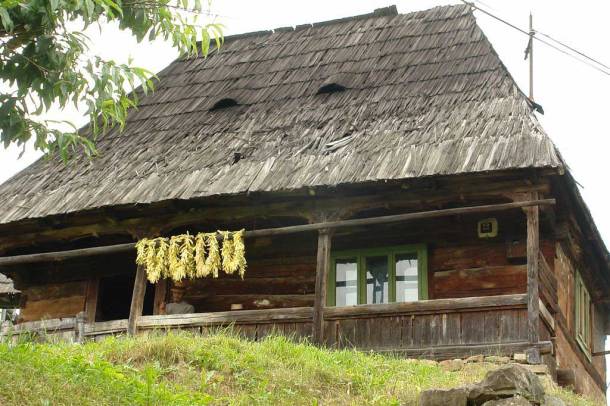 Văleni - Casă veche